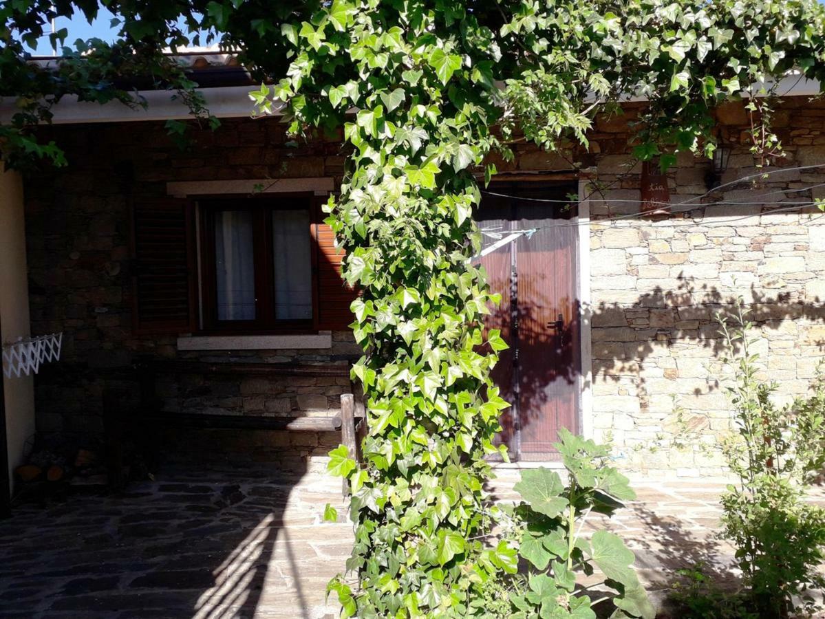 Вілла Quinta Da Moagem Маседу-де-Кавалейруш Номер фото