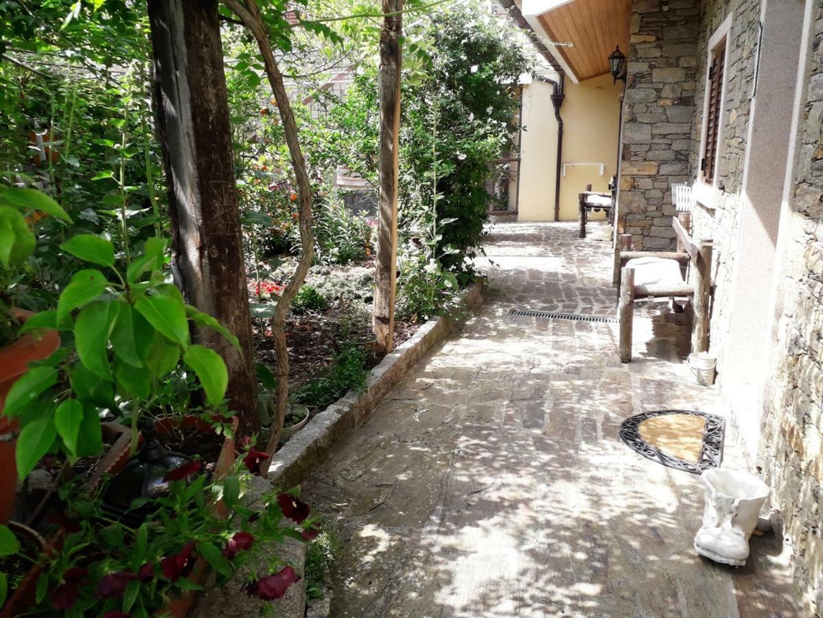 Вілла Quinta Da Moagem Маседу-де-Кавалейруш Екстер'єр фото